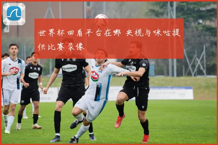 世界杯回看平台在哪 央视与咪咕提供比赛录像
