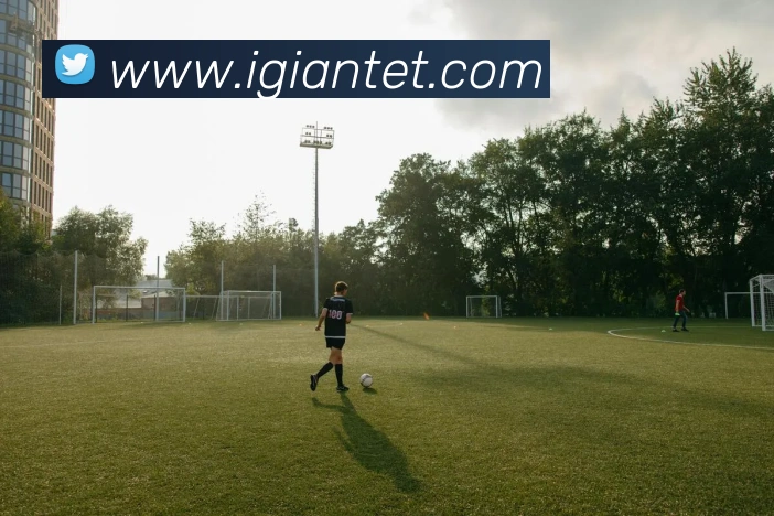 开云在线登录APP 高清赛事图